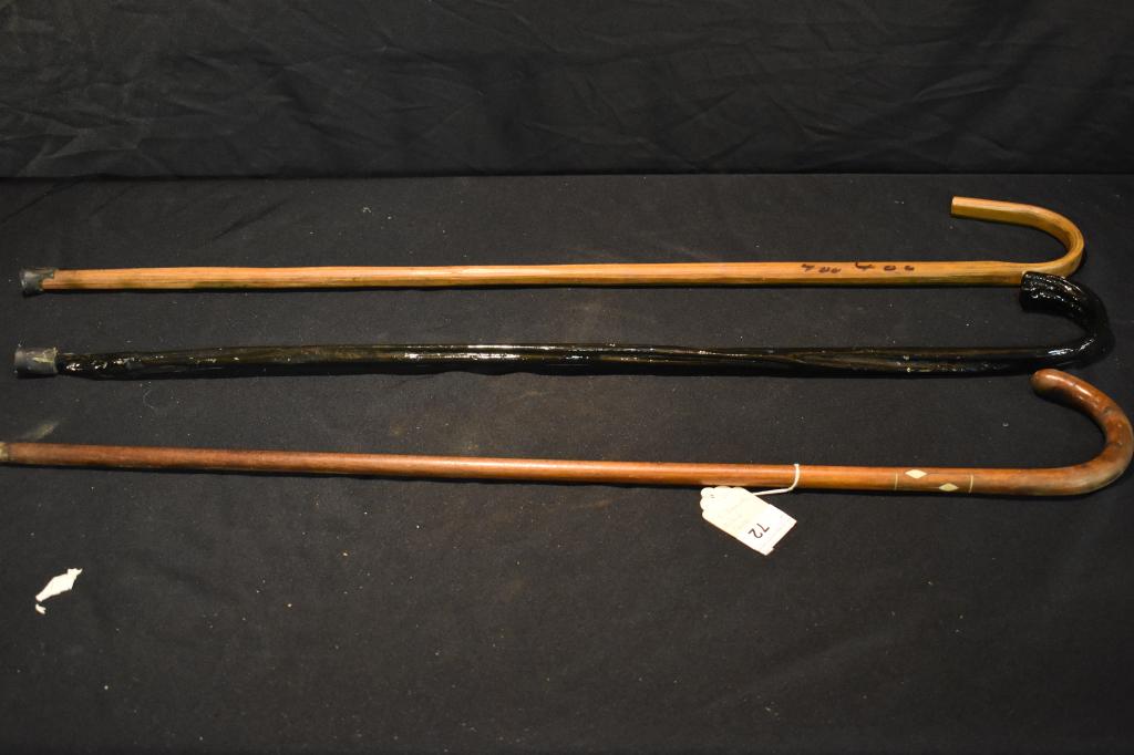 Three Walking Canes (1 of 3)
