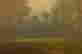 item-109959001=3