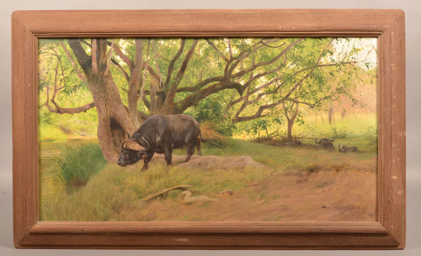 Wilhelm Kuhnert Oil on Canvas Painting of Cape Buffalo.: Antique Oil on Canvas Painting of Cape Buffalo. Signed lower right Wilhelm Kuhnert, 1912, Afrika. In a molded frame, 22" x 35-1/2" overall. Condition: Good.