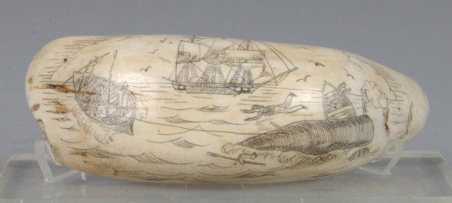 Scrimshaw Tooth decorated with Whaling Scene , 5": Scrimshaw Tooth decorated with Whaling Scene , 5"l. Condition: Good.