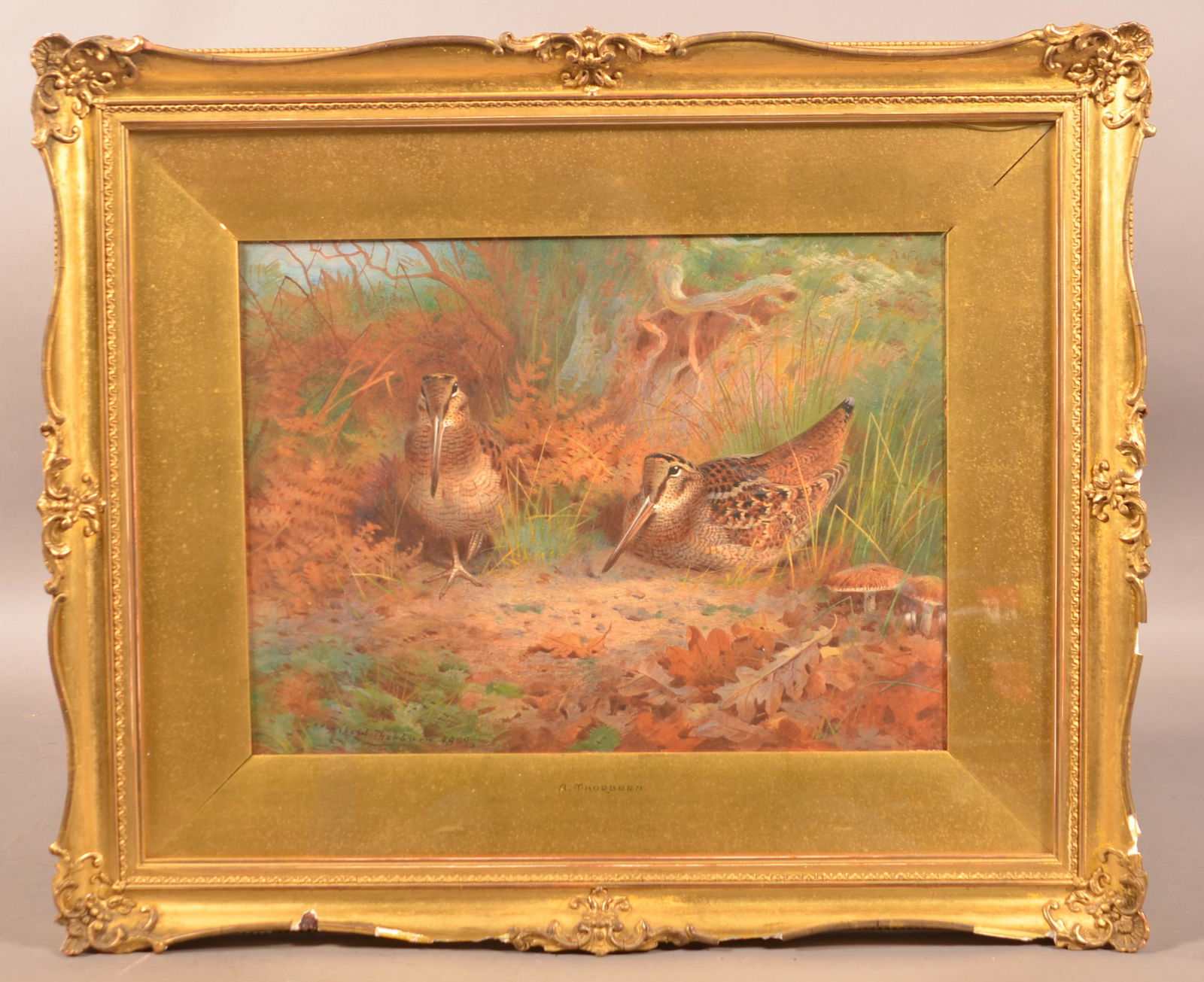 Archibald Thorburn Watercolor on Paper of Woodcocks. (1 of 6)