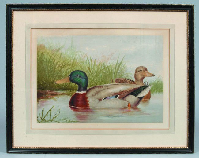 Chromolithograph of Mallard Drake and Hen after Al: Chromolithograph of Mallard Drake and Hen after Alexander Pope Jr. 1878, by Armstrong & Co., Boston. Framed and matted, 24" x 29 3/4" overall. Condition: good.