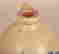 item-128880423=2