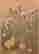 item-128880882=2