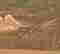 item-128880882=3