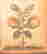 item-128880891=3