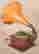 item-128880936=4