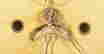 item-128881410=4