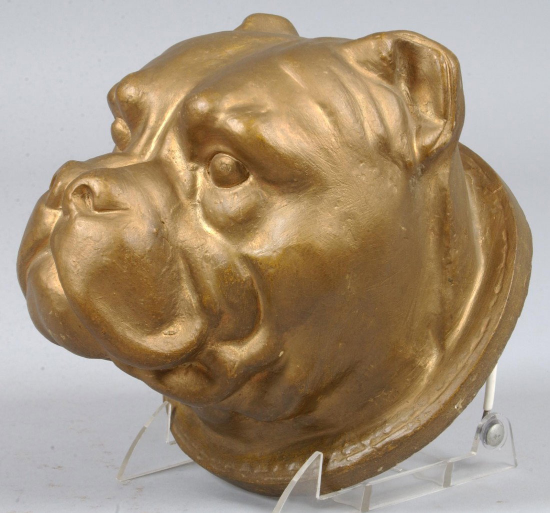 Plaster Hollow Cast of Pug Dog Head Wall Mount, 6": Plaster Hollow Cast of Pug Dog Head Wall Mount, 6"d. x 6 1/2"dia.; life size, painted gold. Marked: "1910 Boston Mass." Condition: Good