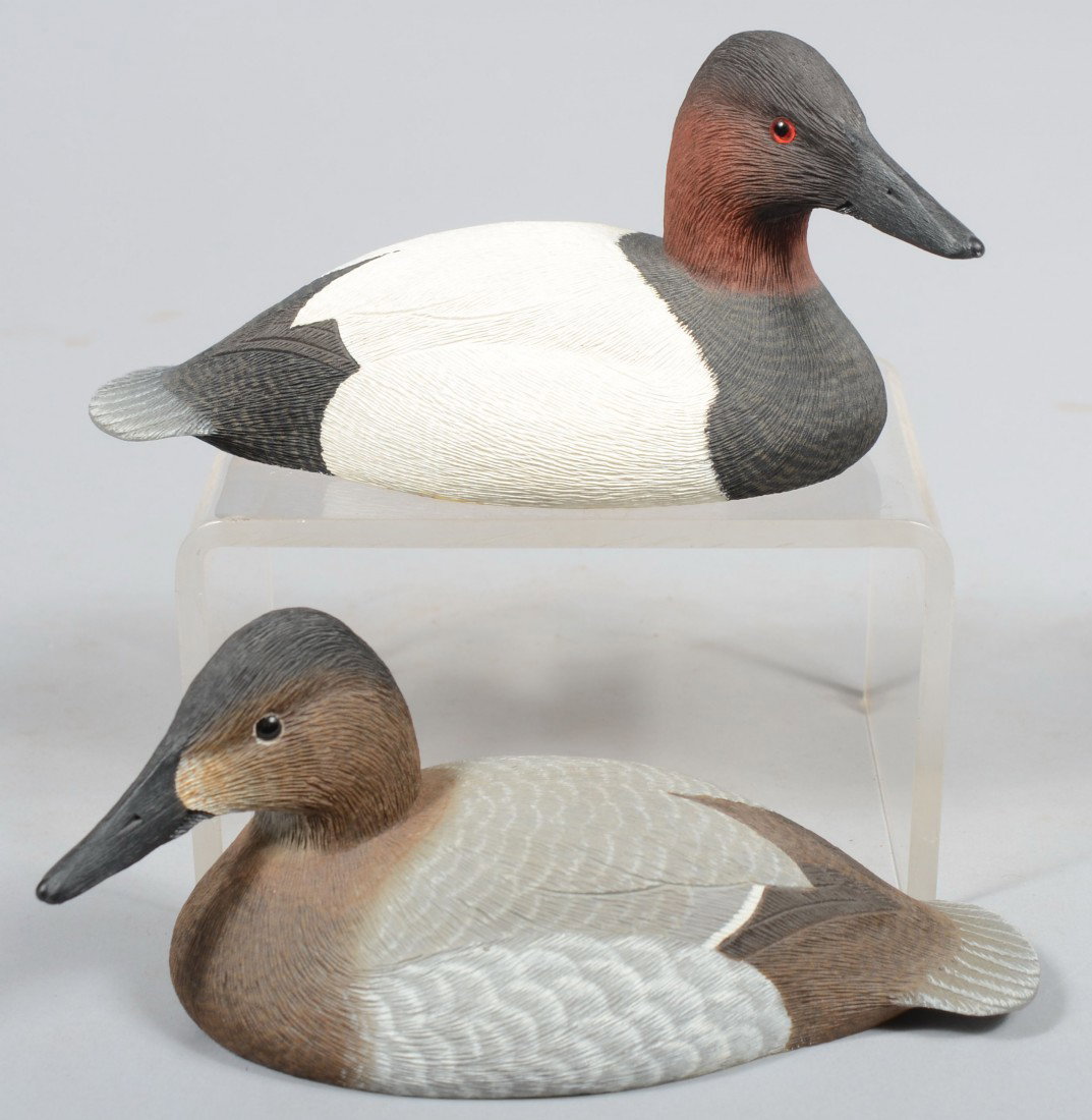 Two Greg Daisey signed, Realistic Carved and Paint: Two Greg Daisey signed, Realistic Carved and Painted Miniature Floating Canvasback Ducks. Drake and hen both bear printed inscription on bottoms: "Greg Daisey, Chincoteague, Va. 1992". Each measure 6 