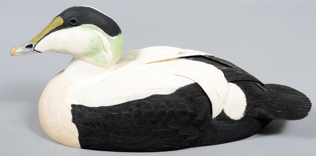 Robert D. Staller signed, Realistic Carved and Pai: Robert D. Staller signed, Realistic Carved and Painted Floating Common Eider. Signed, wood burned stamp, legend and dated, 1998. Accompanied by a Blue Ribbon Award from Ward World Championship Waterfo