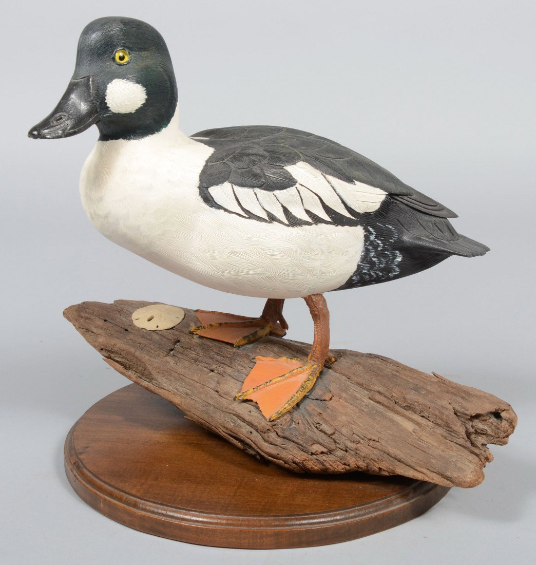 Robert D. Staller signed, Realistic Carved and Pai: Robert D. Staller signed, Realistic Carved and Painted Standing Goldeneye Drake. Carving is mounted on a piece of driftwood which has a circular molded wood base. Signature is on base bottom with date