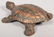 551: Lift Shell Tortoise Spittoon. Mechanical copper pl - 2