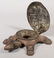 551: Lift Shell Tortoise Spittoon. Mechanical copper pl - 3