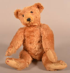 Rare Antique Steiff Cinnamon Mohair Teddy Bear.: Rare Antique Steiff Cinnamon Mohair Teddy Bear. Unsigned, circa 1906-1907. Fully jointed with football shaped body, curved arms, hump-back, shoe button eyes and original felt paws. 16"h.