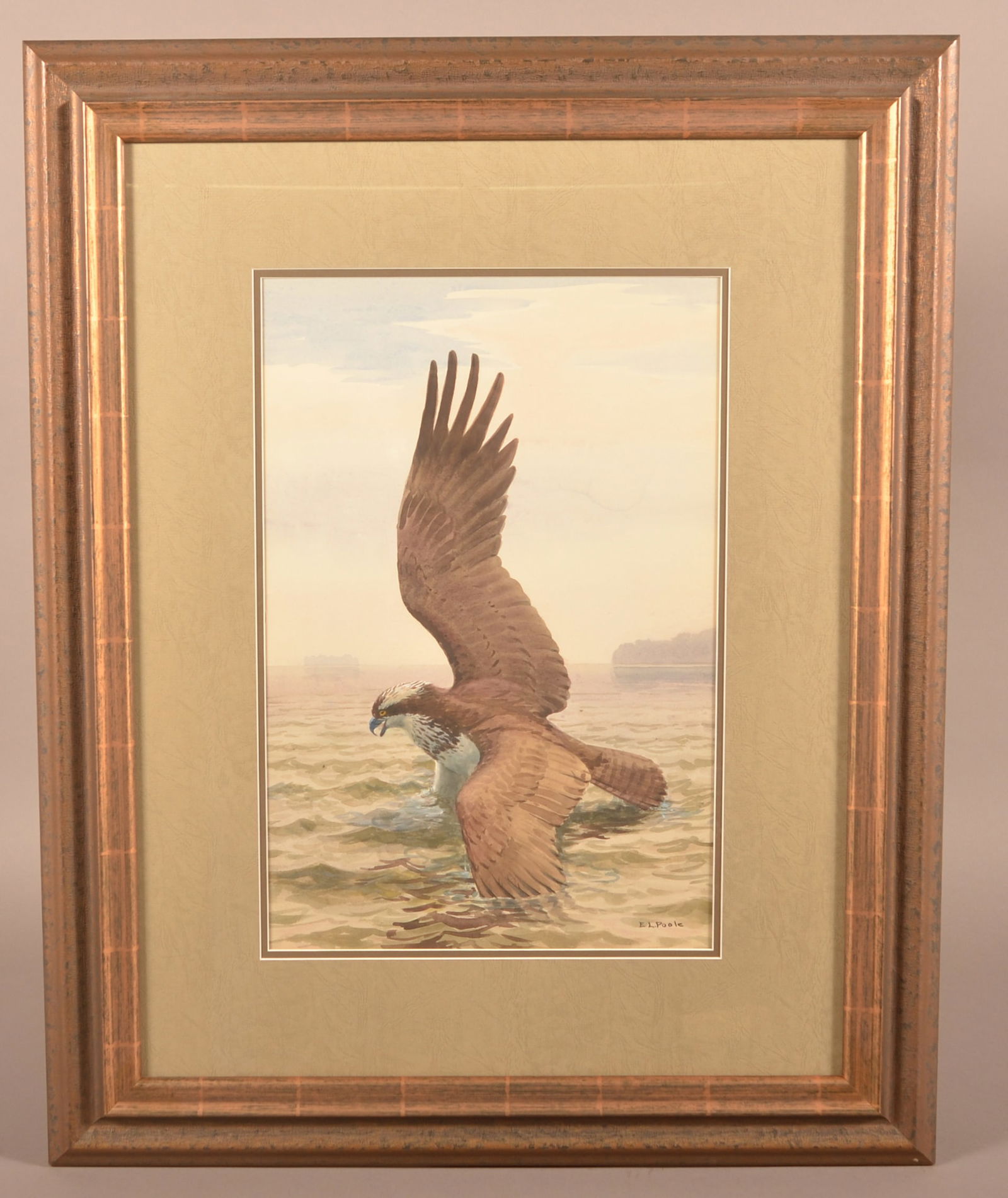 Earl Poole Osprey Wildlife Watercolor Painting. (1 of 3)