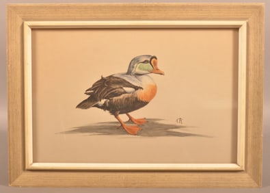 Conrad Roland Watercolor King Eider Duck Painting.