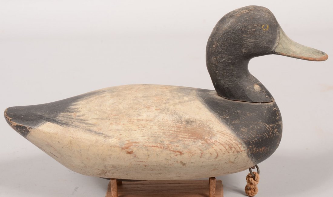 Carved and Painted Decoy of a Black Duck. Black head wi: Carved and Painted Decoy of a Black Duck. Black head with gray bill and yellow eye circles. Black on white body with lead weight on bottom with a tethering ring of iron. No markings. 7 1/4"h. X 13"l. 