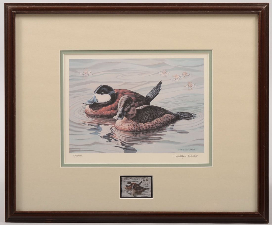Migratory Waterfowl Stamp Print with Stamp. Issued by S: Migratory Waterfowl Stamp Print with Stamp. Issued by State of Maryland this stamp and print is of male and female Ruddy Ducks entitled: "Early Spring Ruddys" by Christopher White, 1988-'89 and is #8 