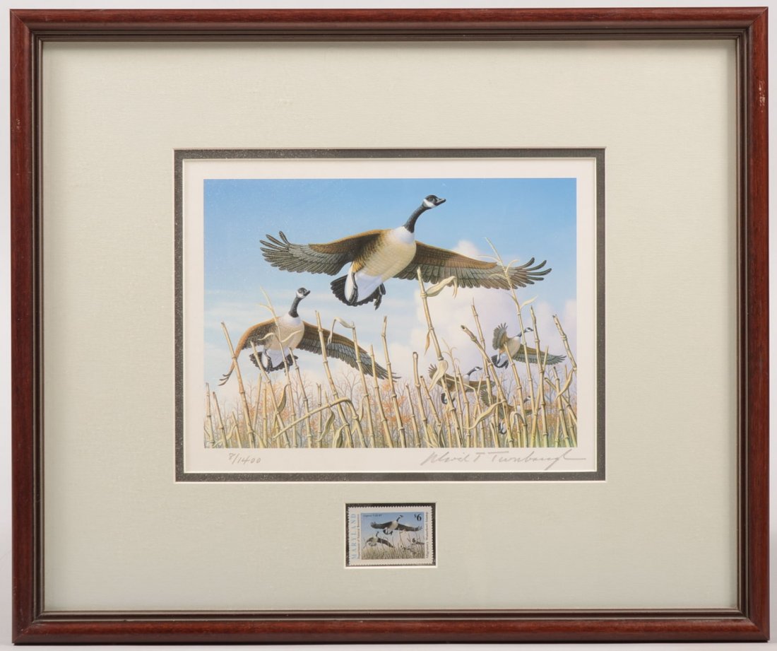 Migratory Waterfowl Stamp Print with Stamp. Issued by S: Migratory Waterfowl Stamp Print with Stamp. Issued by State of Maryland this stamp and print is of Canada Geese by Robert W. Bealle, 1996-'97 and is #8 of 1400. Archival matting and framing. 15 1/4"h.