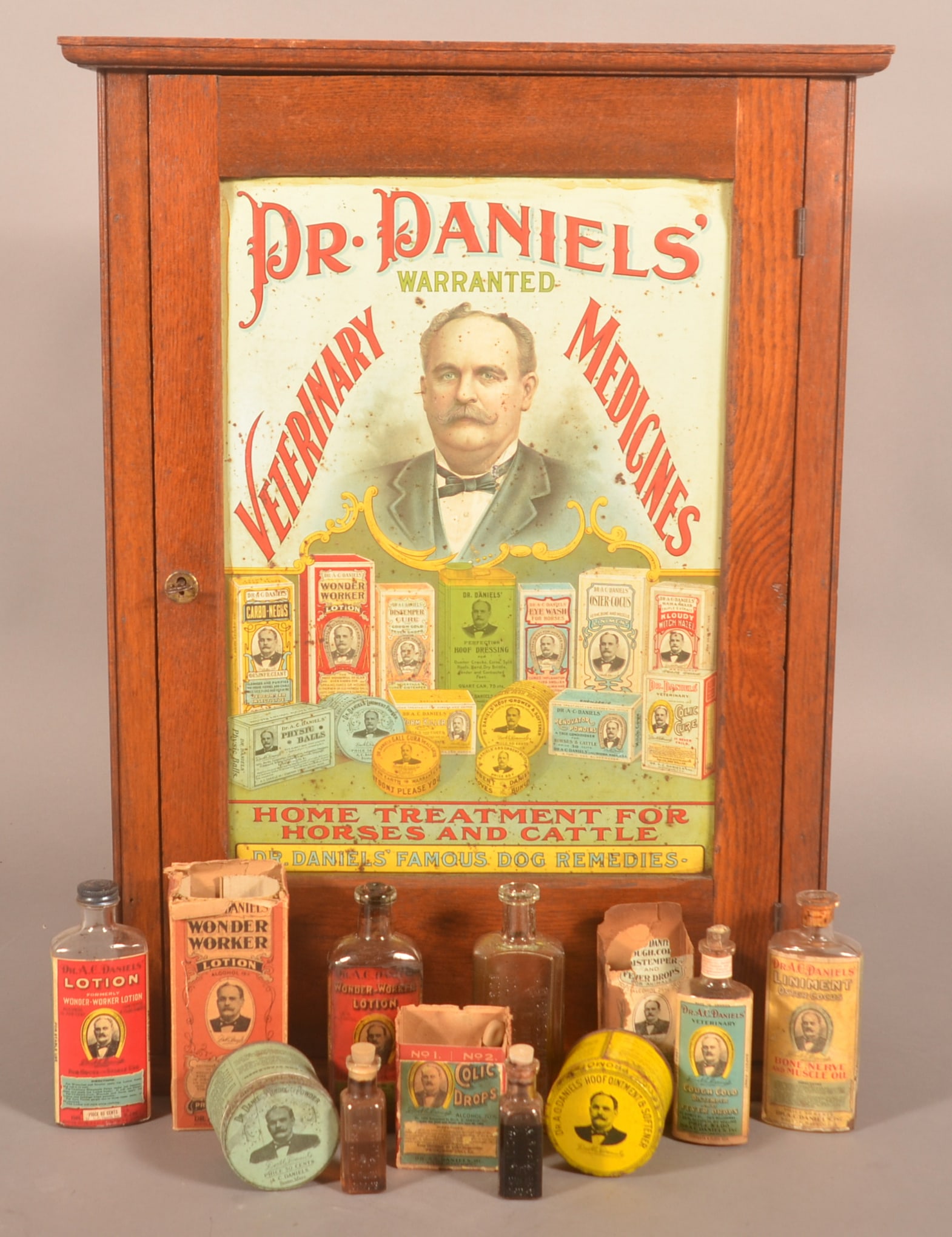 Iconic Dr. Daniel's Veterinary Cabinet & Contents. (1 of 8)