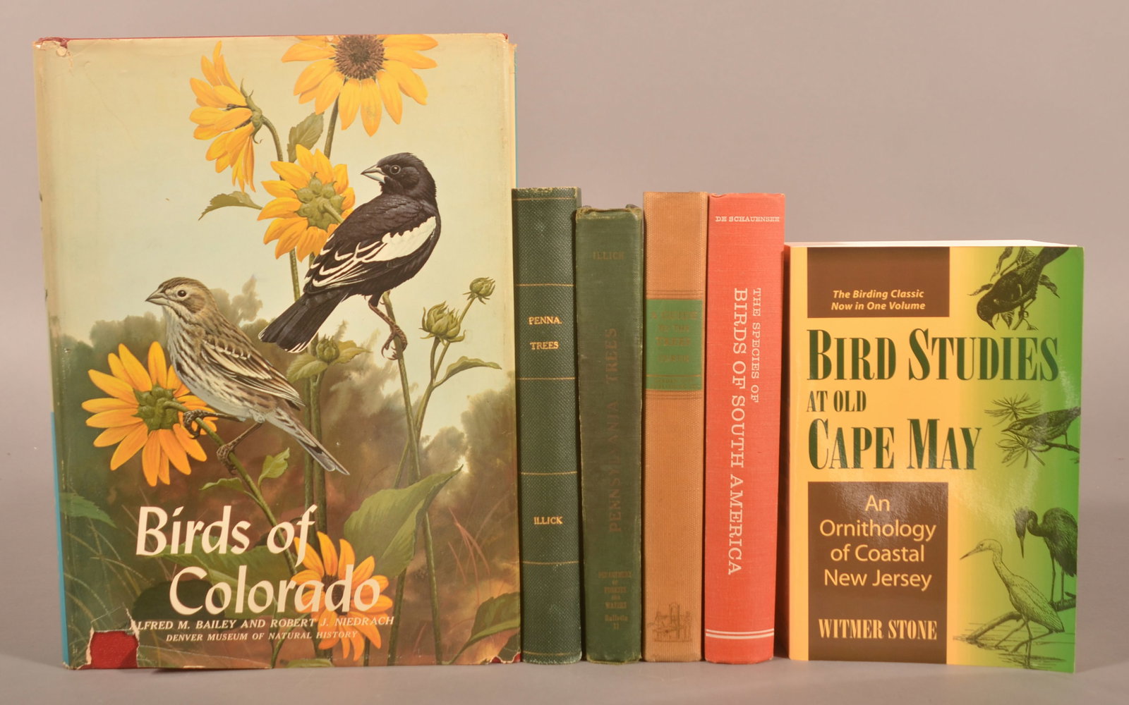 Lot from the Earl Poole Collection.: Birds of Colorado, Birds of South America, Penna. Trees. 12-1/2" x 16"