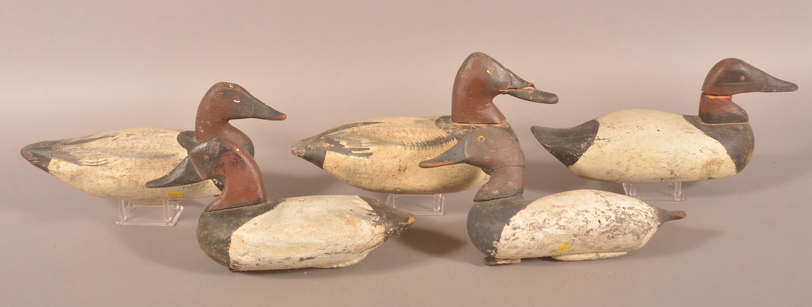 Group of 5 Canvasback Antique Wood Duck Decoys. (1 of 3)