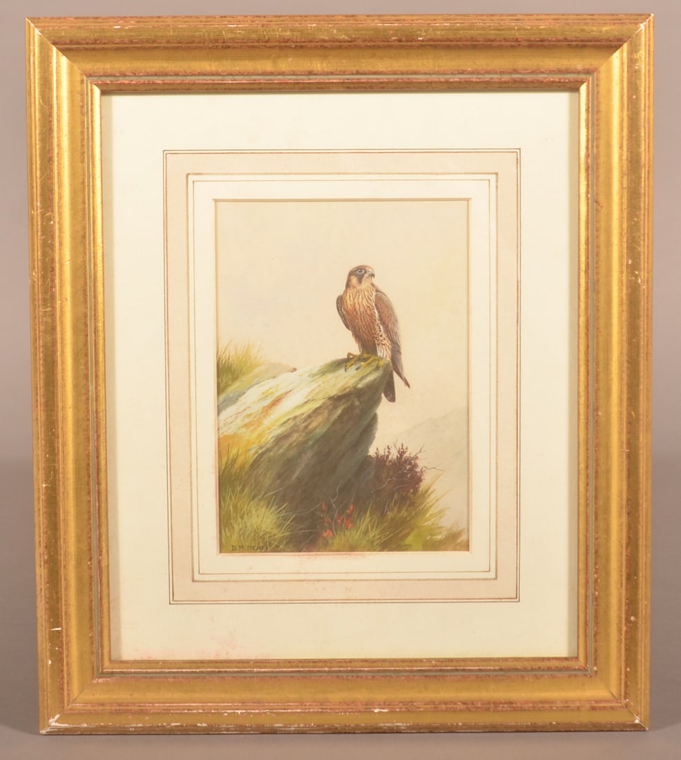 D.M. Henry Watercolor & Gouache on Paper Painting.: (David Morrison Reid Henry, 1919-1977, UK). Signed lower left, titled "Juvenile Peregrine Falcon" on Rowland Ward Ltd, London label on verso. In a period, gilt wood frame. Image, 6-3/4" x 4-3/4", Over