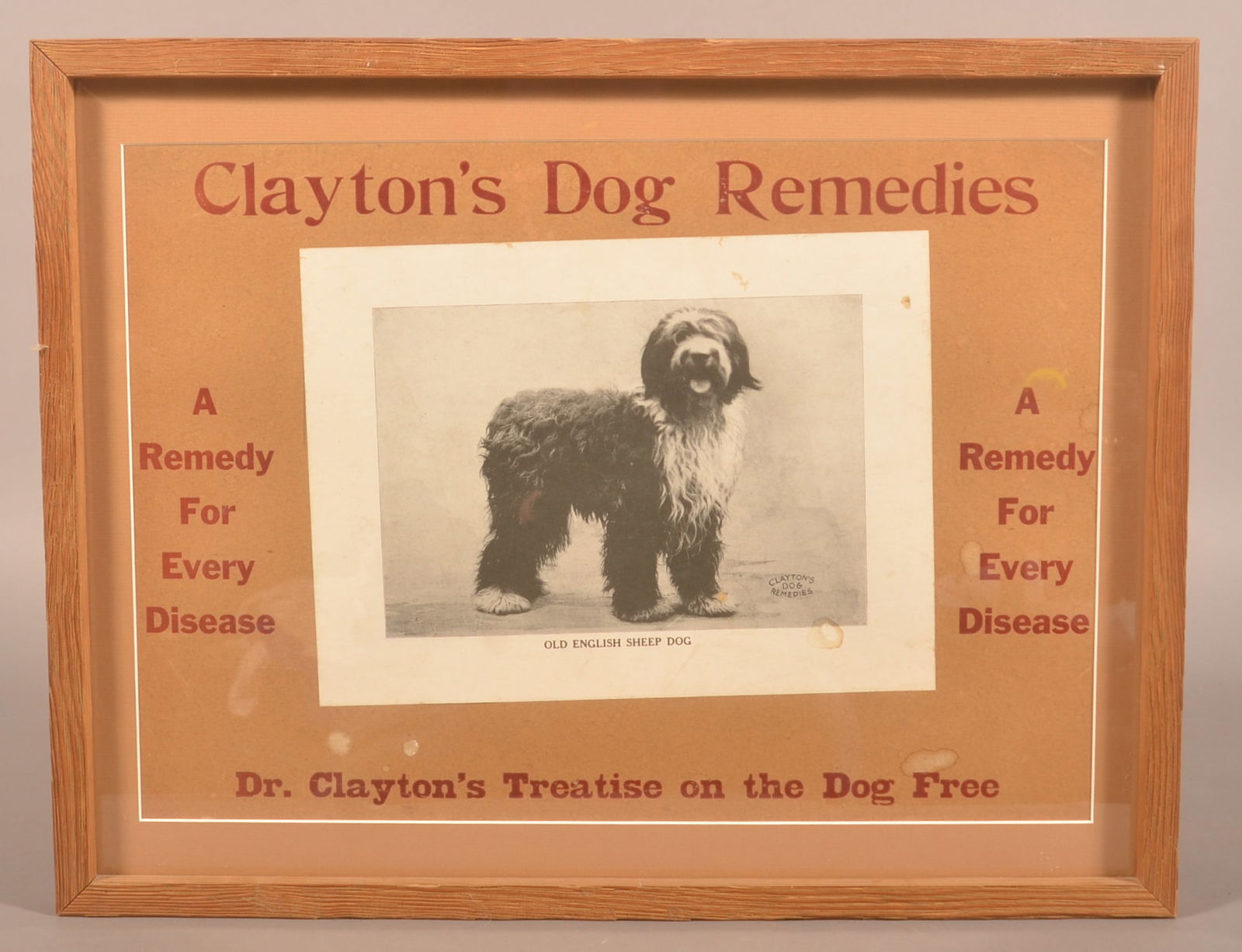 Antique Clayton's Dog Remedies Window Card Sign.: These would have hung in the window of the general store advertising Dr. Clayton's Dog Remedies. This heavy cardboard sign depicts an Old English Sheep Dog smiling at the camera. 16-5/8"H x 21-3/8"W