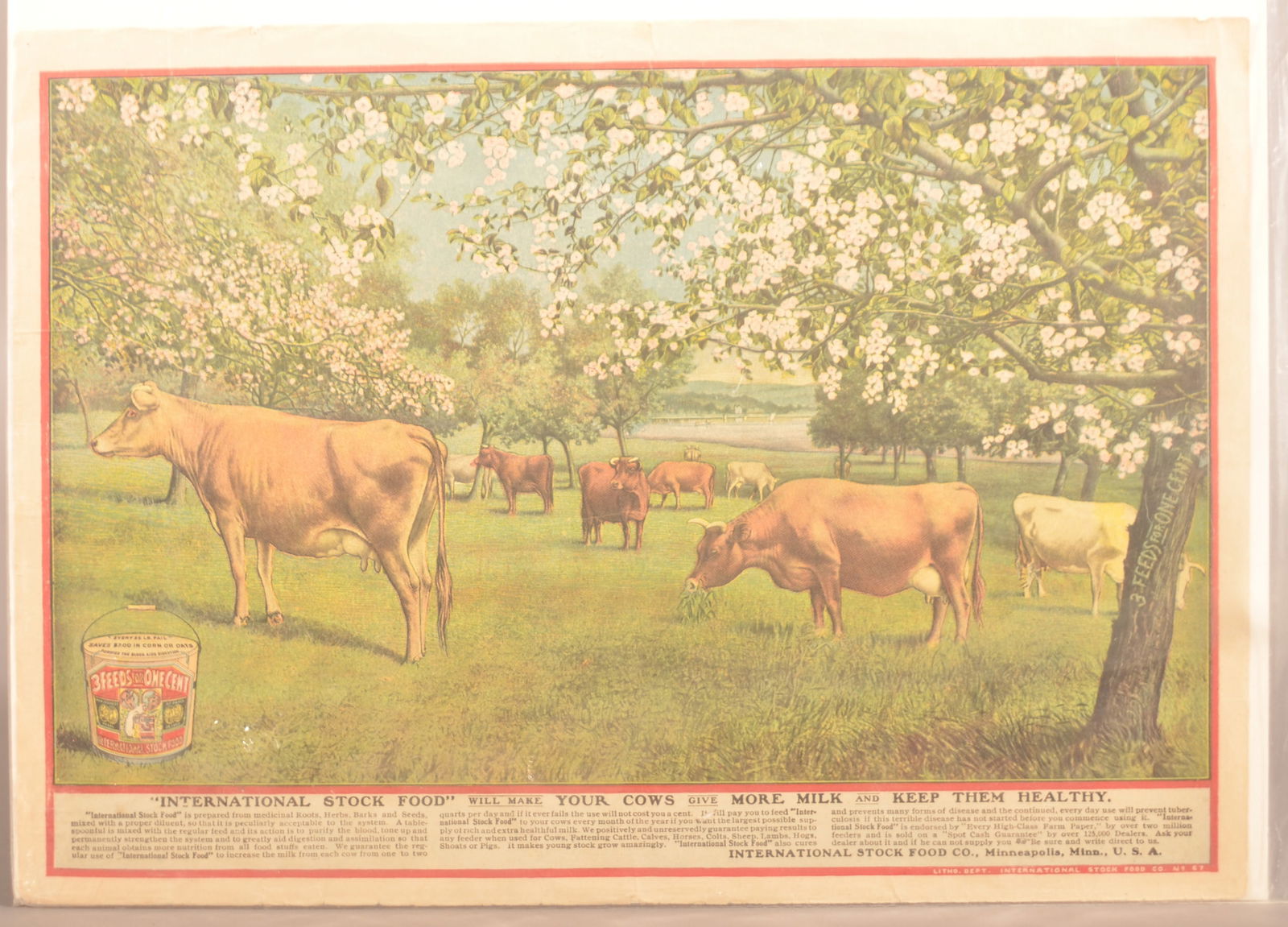 Small International Stock Food Paper Advertisement (1 of 3)