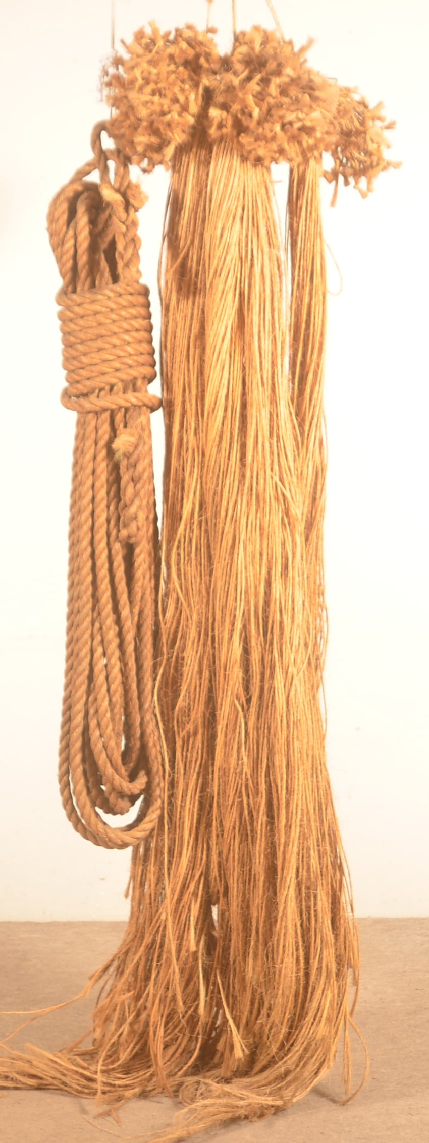Great Lancaster, PA Lengths of Braided Rope.: Three lengths of rope with an unusual braiding at the top together with an additional coil of natural fiber rope. These were found in the James Hoffman barn, Mt Joy, PA. Provenance: James Hoffman Coll