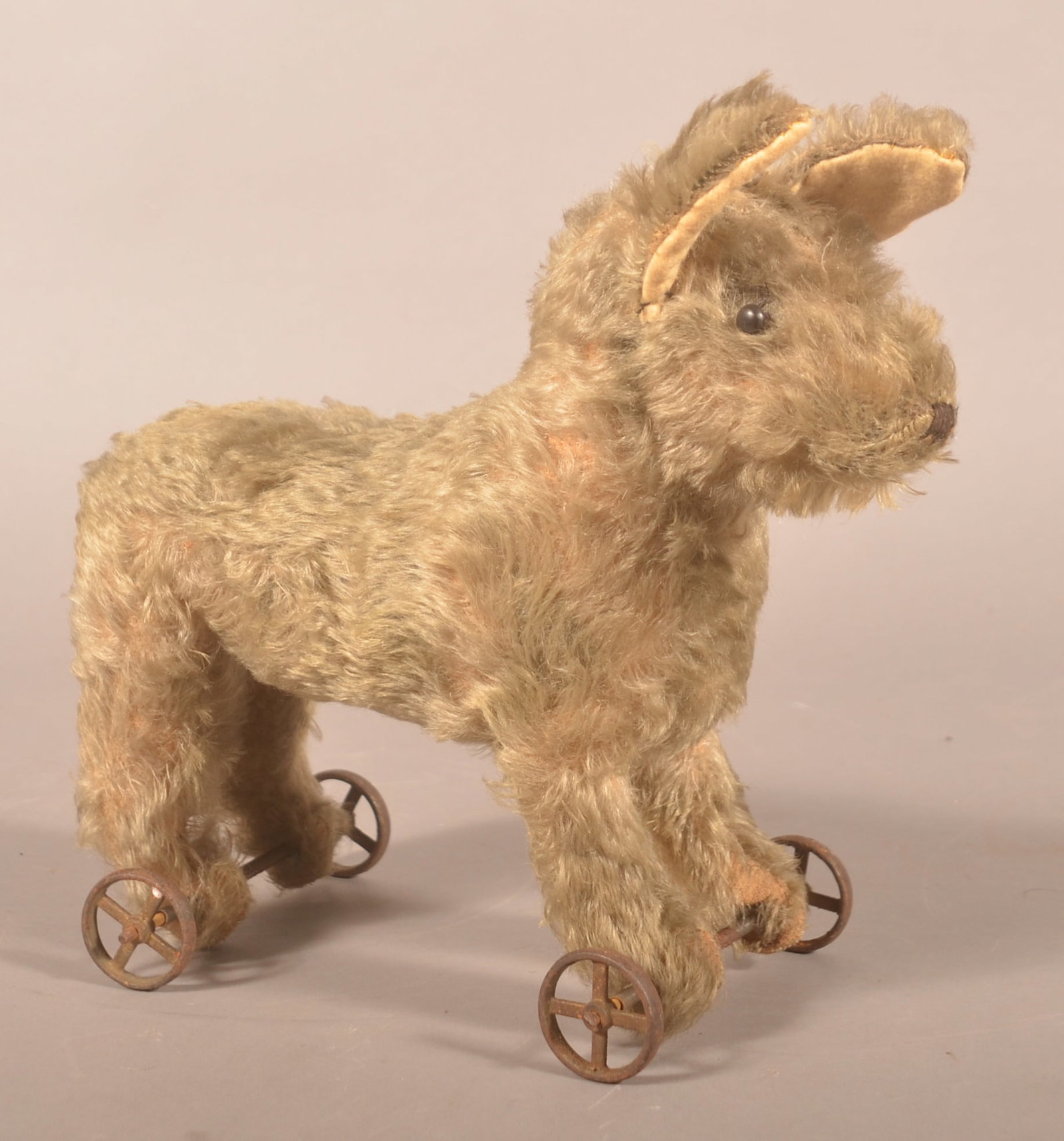 Antique Mohair Dog on Wheels: American or English, 1910-1920. Shoe button eyes, original black thread nose. Wire frame with straw and grey mohair. 11"H x 13"L