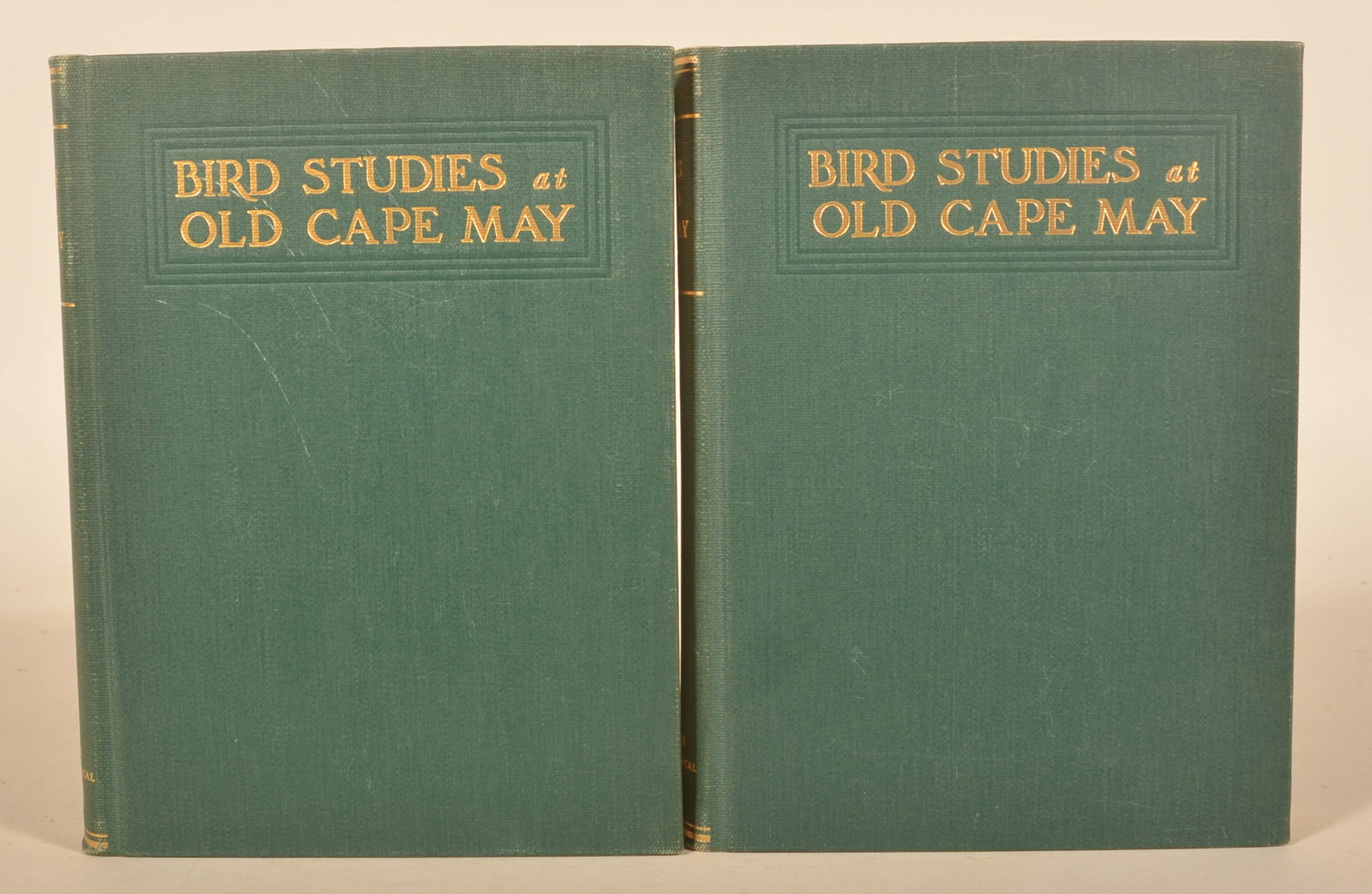 1937 1st Edition "Bird Studies at Old Cape May" (1 of 3)