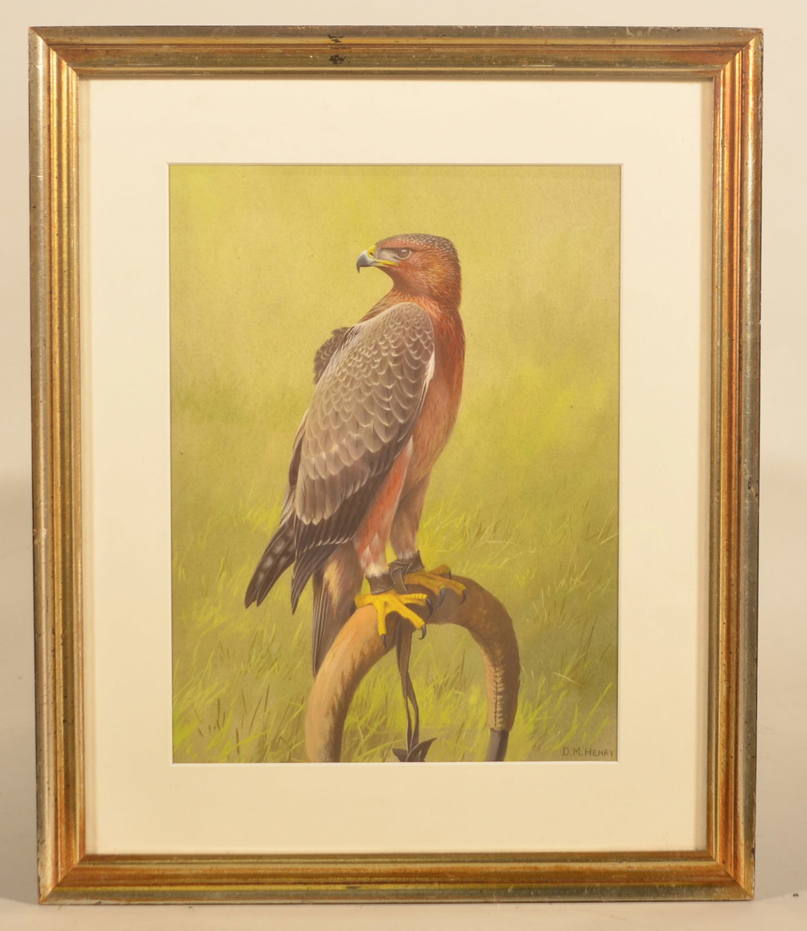 Signed D.M.Henry Watercolor of Bonelli's Eagle: David Morrison Reid Henry (1919-1977) was an English artist. Professionally matted and framed watercolor of a large bird of prey, signed in lower right corner. Dealer tag on back for Rowland Ward in