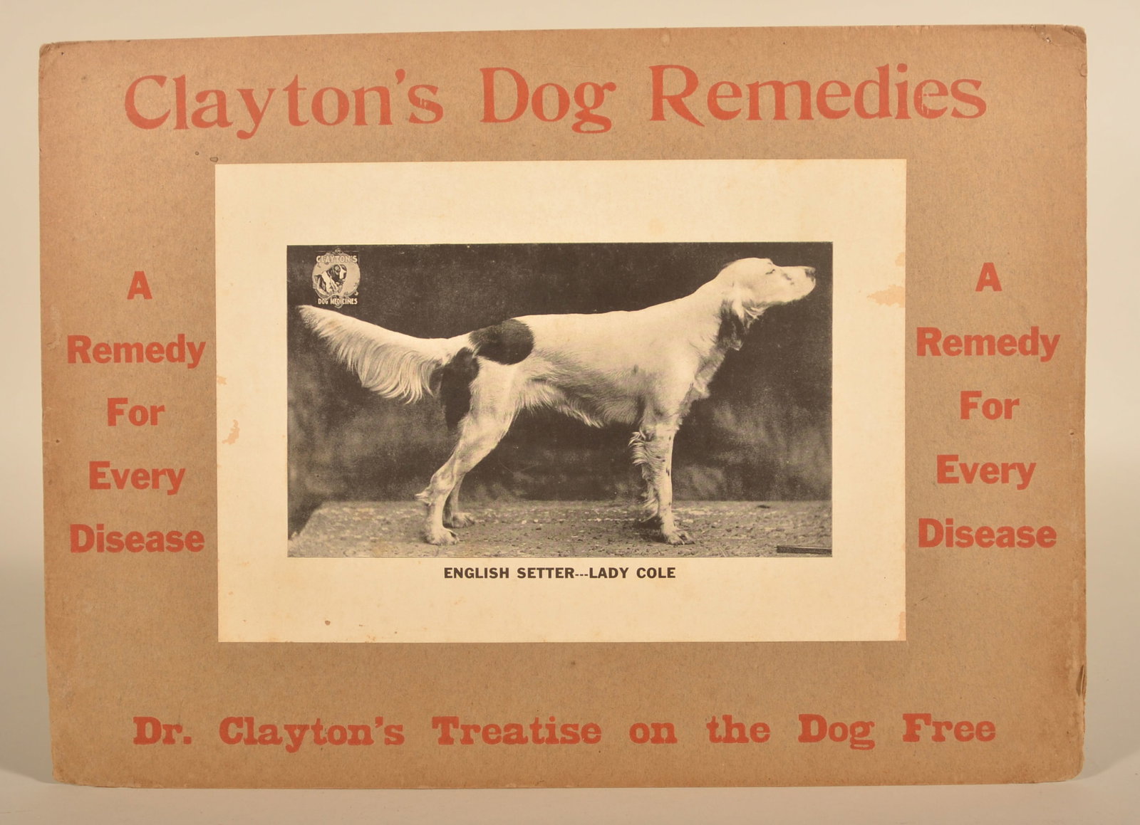 Antique Clayton's Dog Remedies Window Card: An excellent example from the series of window cards produced for Dr. Clayton with different breeds of dogs advertising his veterinary remedies. This one features "Lady Cole", an English Setter. 1920-