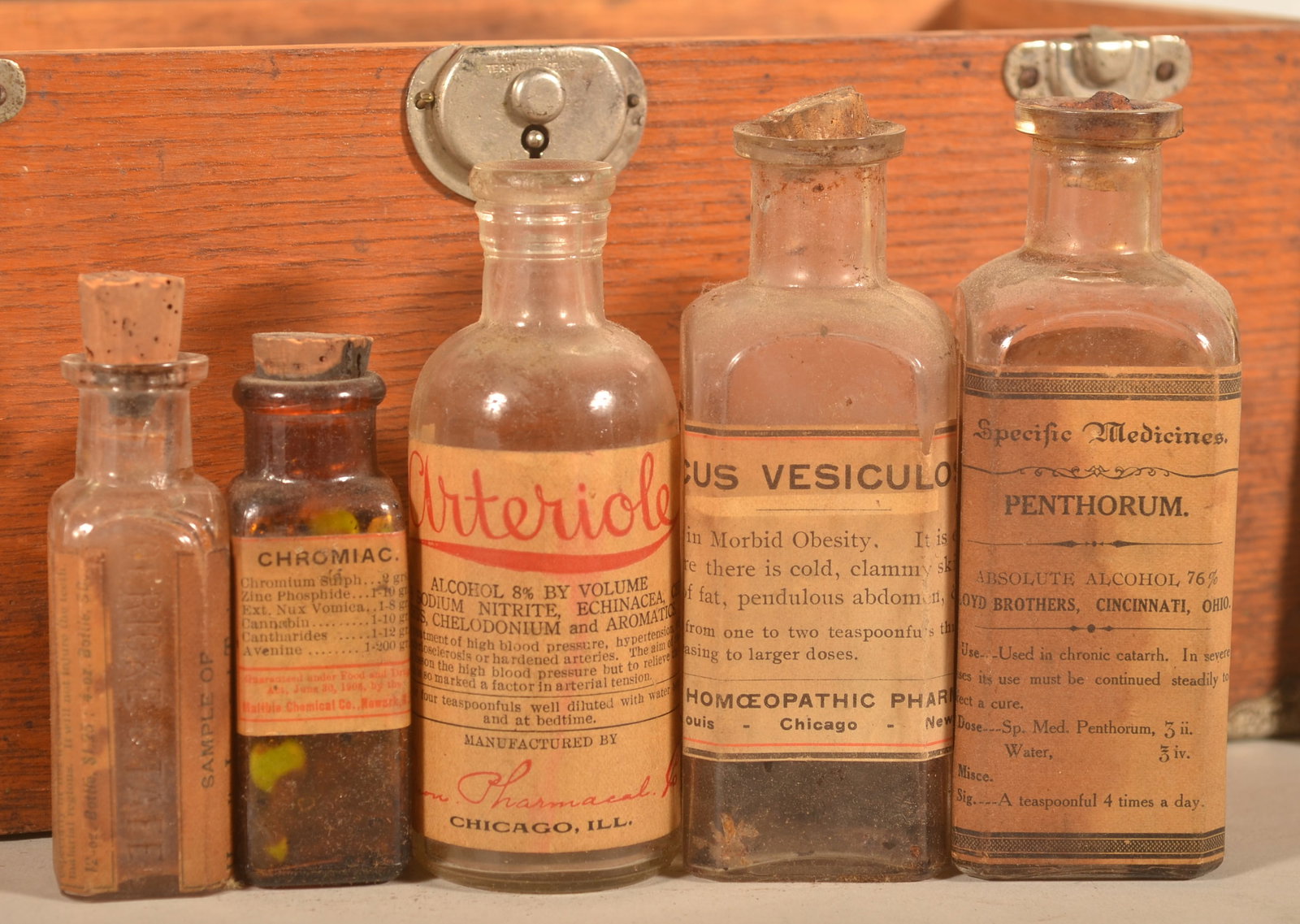 Lg. Dr. Daniels' Veterinary Emergency Stable Case - 4