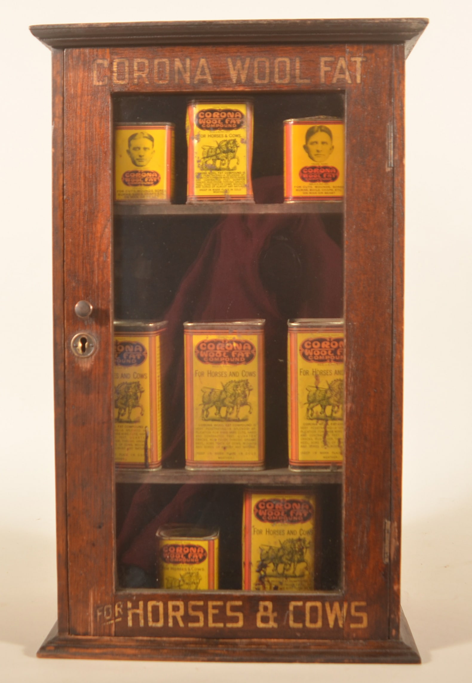 Excellent Corona Wool Fat Veterinary Cabinet (1 of 10)