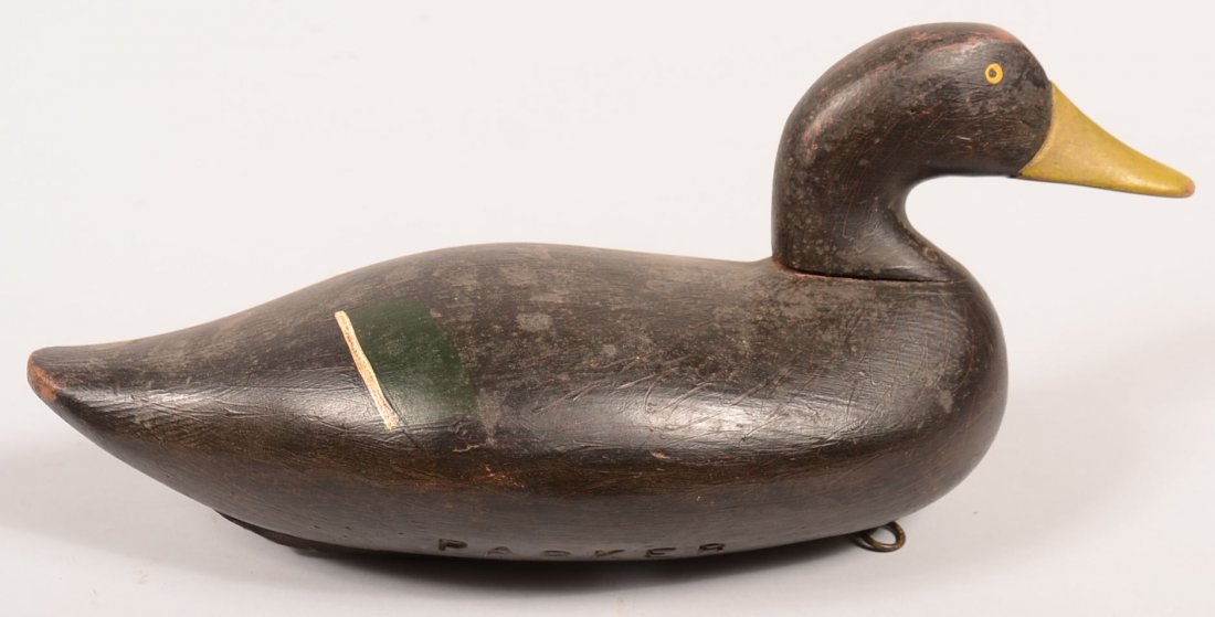 Black Duck Drake Decoy marked Parker. olive green back,: Black Duck Drake Decoy marked Parker. olive green back, green wing band with white end band, good feather paint, 15-1/2"long. Condition: Good.