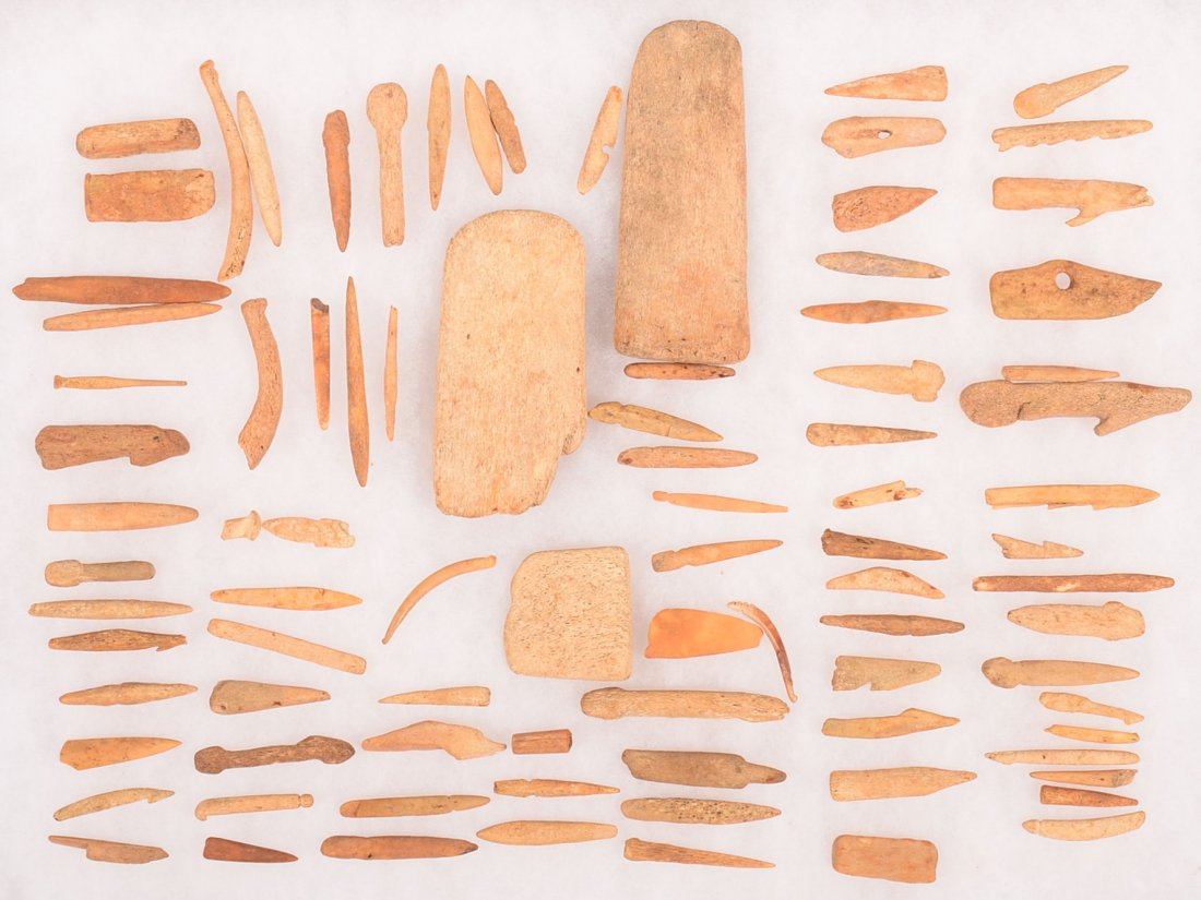 A riker-mounted collection of ancienct Eskimo bone,: A riker-mounted collection of ancienct Eskimo bone, ivory and antlyer points, tools and partial artifacts