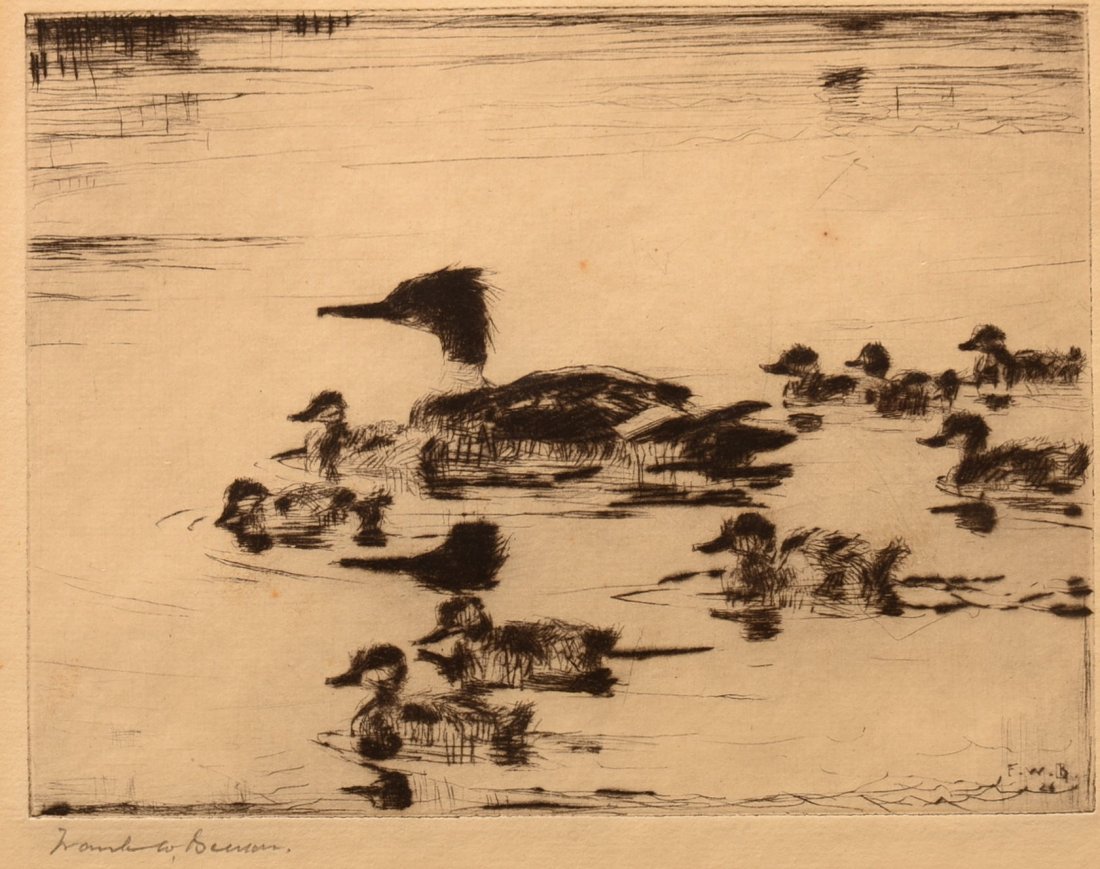 Frank W. Benson (American 1862-1951) etching on paper: Frank W. Benson (American 1862-1951) etching on paper "Sheldrake Brood". Adult Merganser with nine duckling in a body of water, pencil signed lower left " Frank W. Benson", and signed lower right of i