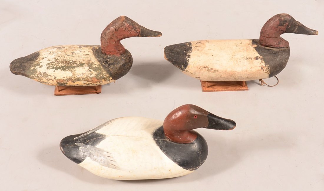 Decoy lot of (3): a "Madison Mitchell 1955" signed: Decoy lot of (3): a "Madison Mitchell 1955" signed Canvasback plus (2) early Chesapeake Bay Canvasbacks. Condition: fair to very good with the Mitchel having a cracked back.