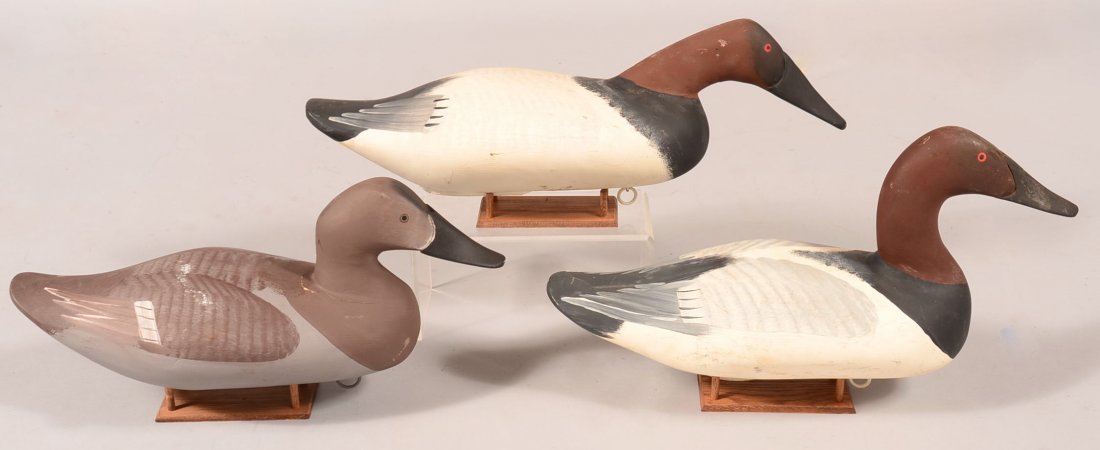 Decoy lot of (3) Havre DeGrace decoys: swimming style: Decoy lot of (3) Havre DeGrace decoys: swimming style Canvasback- Clarence Bauer, Havre DeGrace, MD, 1988; Canvasback Captain Harrry Jones, 1987; Canvasback hen by Jimmy Pierce. Condition: very good t