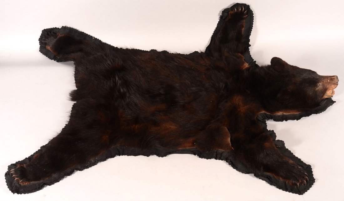 Black bear rug complete with the head and feet. 75": Black bear rug complete with the head and feet. 75" o/a, 45" wide including the legs. Condition: good with some shedding.