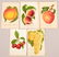 Lot of 45 Various Fruit Species Colored Lithographs.