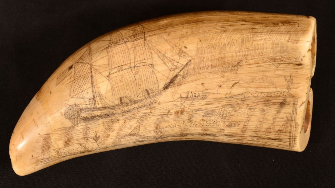 Scrimshawed Whale's Tooth with Whaling Scene: Scrimshawed Whale's Tooth with Whaling Scene and American Ship. A scrimshawed sperm-whale tooth engraved with a whaling scene of fully rigged ship, a pod of whales, and whale boat. 6" long. Condition: