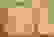 item-41487129=2
