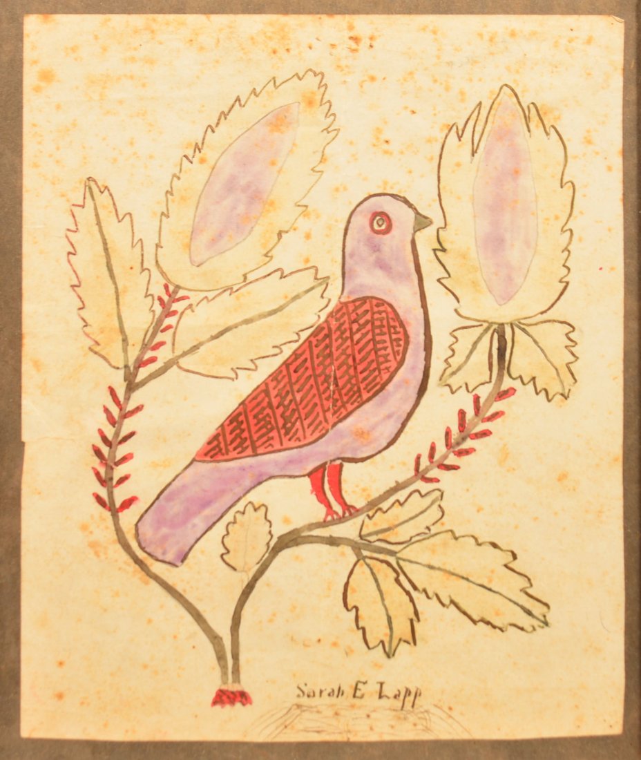 Lancaster County Watercolor Drawing of a Dove. (1 of 3)