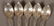 12 Tiffany & Co. Sterling Silver Ice Tea Spoons. - 2
