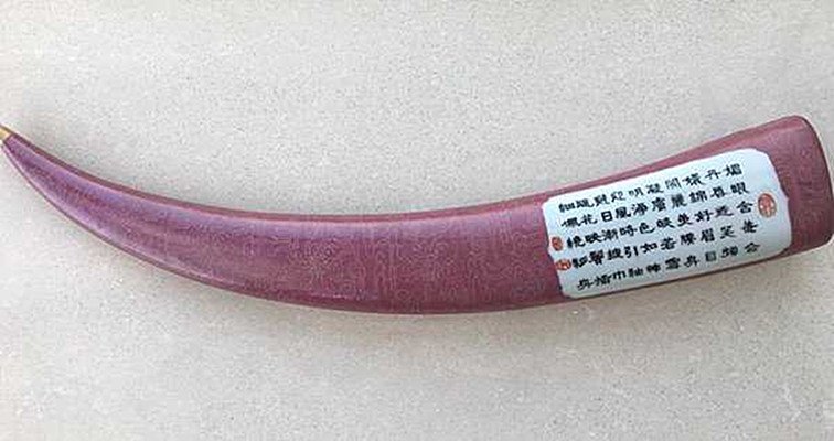 Fine Old Chinese Gilt Famille Rose porcelain Tusk: Fine Old Chinese Gilt Famille Rose porcelain Tusk with dragon engraved on the whole tusk ,also a romantic poem on one side , artist signed , Qianlong Mark , maybe early 19th century , size; 42 ( L ) X