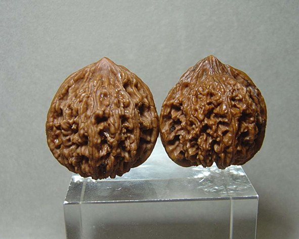 Old Pair of Chinese Scholar  Nut Carvings (1 of 5)